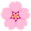 :cherry_blossom: