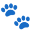 :feet: