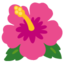 :hibiscus: