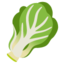 :leafy_green: