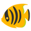 :tropical_fish: